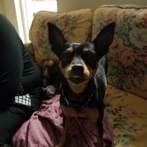 Meet your Posher, Mark